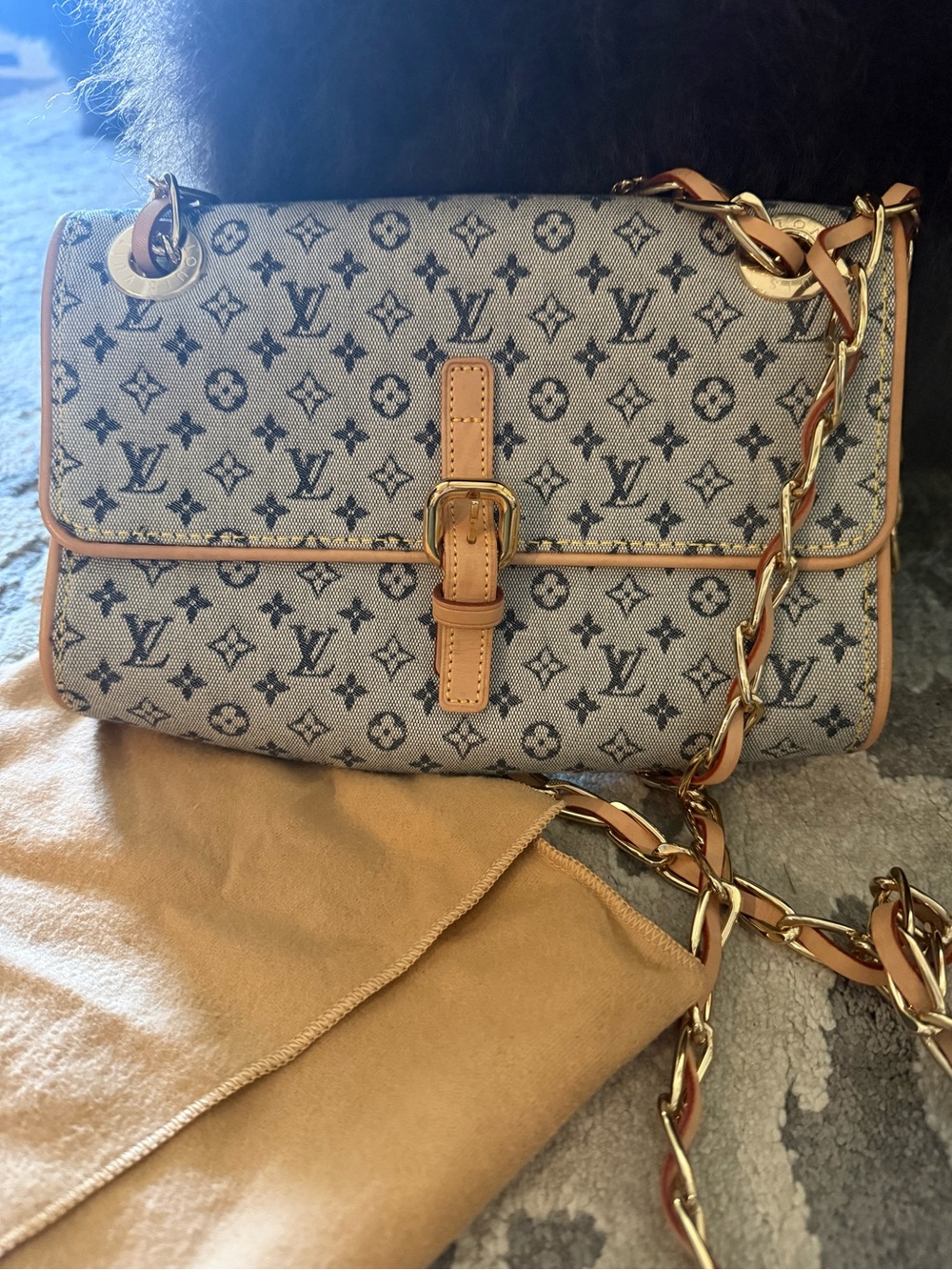 Louis Vuitton Monogram Mini Camille